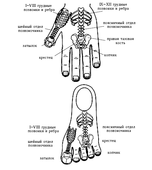 Акупунктура - i_034.png