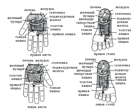 Акупунктура - i_036.png