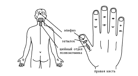 Акупунктура - i_042.png