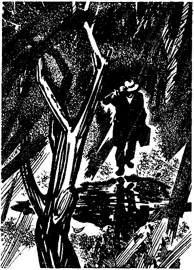 Журавлиное небо - i_007.png