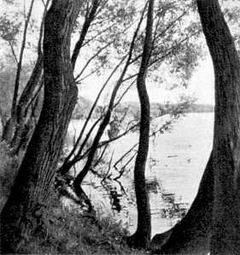 Беседы о фотомастерстве - dyko_photo_099a.jpg