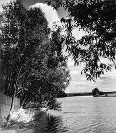 Беседы о фотомастерстве - dyko_photo_106.jpg