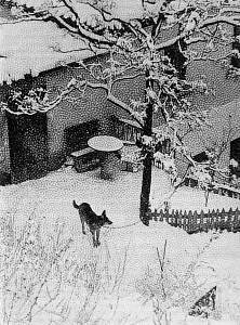 Беседы о фотомастерстве - dyko_photo_128.jpg