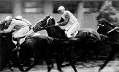 Беседы о фотомастерстве - dyko_photo_148.jpg