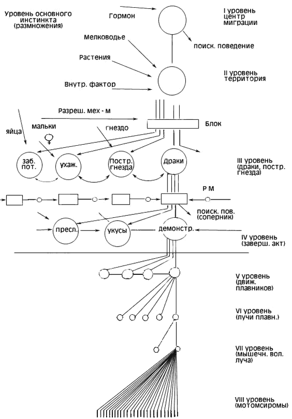 Основные положения концепции Лоренца - pic_02.png