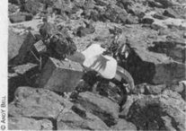 Мотопутешествия: Книга Искателя Приключений - i_024.png