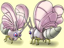 Энциклопедия покемонов - venomoth.jpg