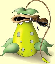 Энциклопедия покемонов - victribel.jpg