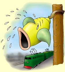 Энциклопедия покемонов - weepinbell.jpg