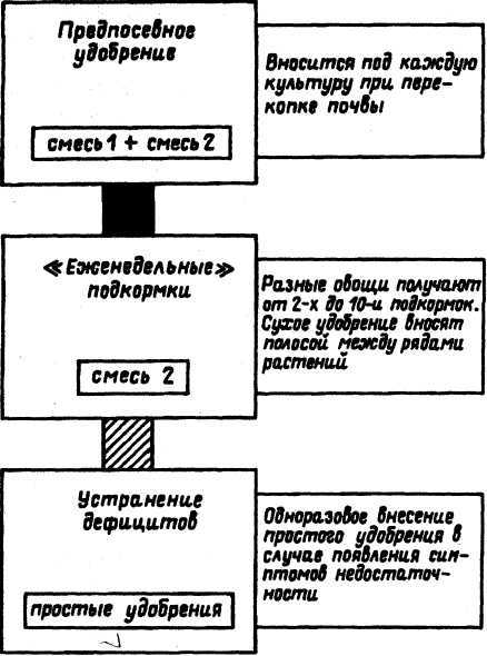 Семейное овощеводство на узких грядах. Опыт использования метода Митлайдера в России - pic_09.jpg