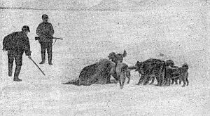 Седов - i_021.jpg