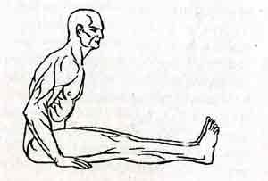 Йога-терапия. Новый взгляд на традиционную йога-терапию - doc2fb_image_02000006.jpg