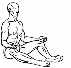 Йога-терапия. Новый взгляд на традиционную йога-терапию - doc2fb_image_0200000F.jpg