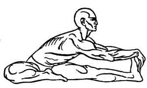 Йога-терапия. Новый взгляд на традиционную йога-терапию - doc2fb_image_02000035.jpg