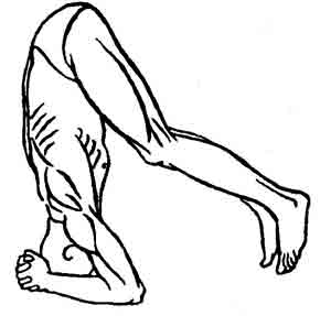 Йога-терапия. Новый взгляд на традиционную йога-терапию - doc2fb_image_0200004C.jpg