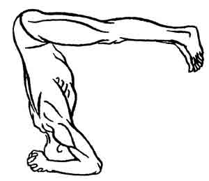 Йога-терапия. Новый взгляд на традиционную йога-терапию - doc2fb_image_0200004D.jpg