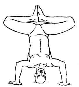Йога-терапия. Новый взгляд на традиционную йога-терапию - doc2fb_image_02000051.jpg