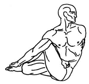 Йога-терапия. Новый взгляд на традиционную йога-терапию - doc2fb_image_0200005A.jpg