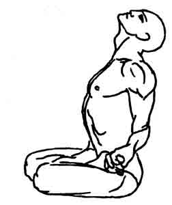 Йога-терапия. Новый взгляд на традиционную йога-терапию - doc2fb_image_02000076.jpg