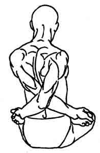Йога-терапия. Новый взгляд на традиционную йога-терапию - doc2fb_image_02000079.jpg