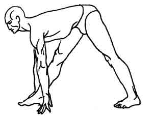 Йога-терапия. Новый взгляд на традиционную йога-терапию - doc2fb_image_02000094.jpg