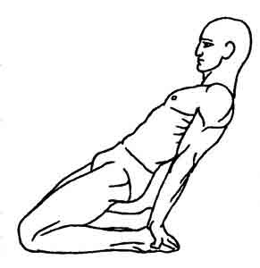 Йога-терапия. Новый взгляд на традиционную йога-терапию - doc2fb_image_0200009A.jpg