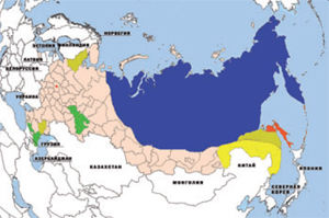 Журнал "Компьютерра" №765-766 - _765-766---17.jpg