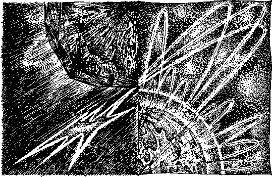 Остров пурпурной ящерицы  - i_008.png