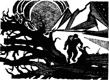 Зеленый поезд (Повести и рассказы писателей-фантастов Сибири) - i_014.png