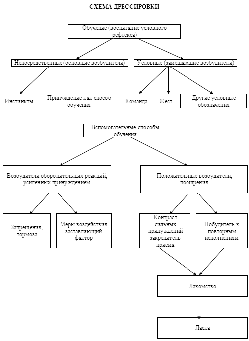 Курс теории дрессировки собак. Военная собака - i_012.png