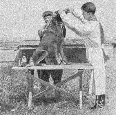 Курс теории дрессировки собак. Военная собака - i_037.jpg