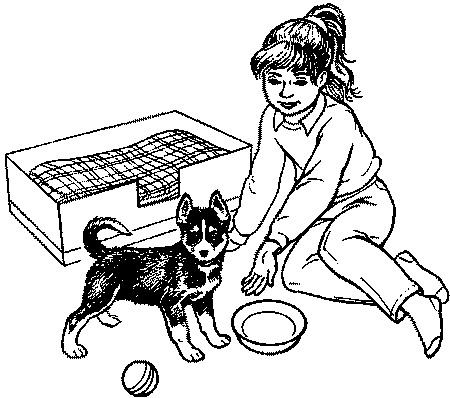 Собака-спасатель: Подготовка и обучение - i_006.png