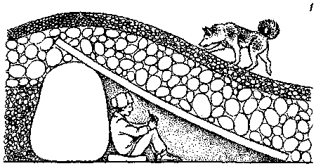 Собака-спасатель: Подготовка и обучение - i_011.png