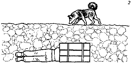 Собака-спасатель: Подготовка и обучение - i_012.png