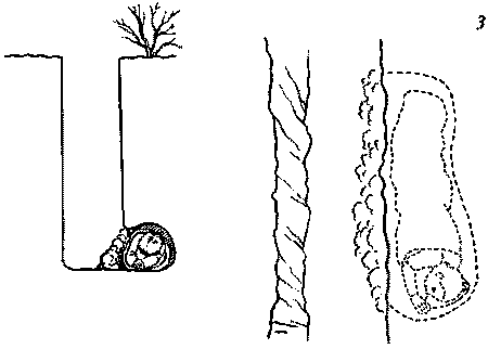 Собака-спасатель: Подготовка и обучение - i_013.png