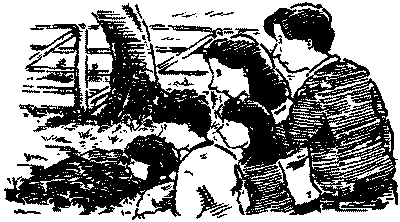 Красный, как огонь - i_015.png