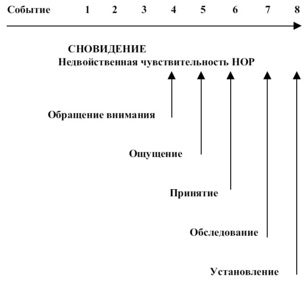 Сновидения в бодрствовании. Методы 24-часового осознаваемого сновидения - i_009.jpg