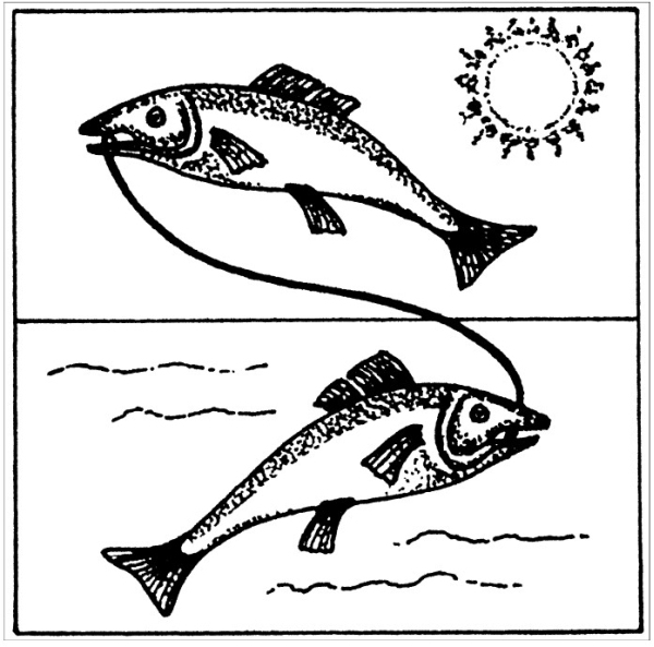 Сновидения в бодрствовании. Методы 24-часового осознаваемого сновидения - i_045.jpg