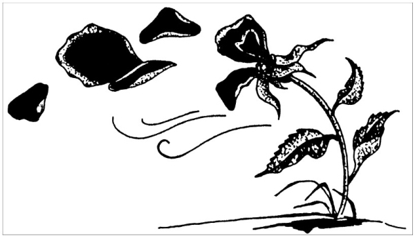 Сновидения в бодрствовании. Методы 24-часового осознаваемого сновидения - i_052.jpg