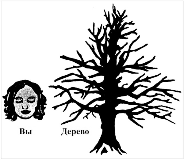 Сновидения в бодрствовании. Методы 24-часового осознаваемого сновидения - i_055.jpg