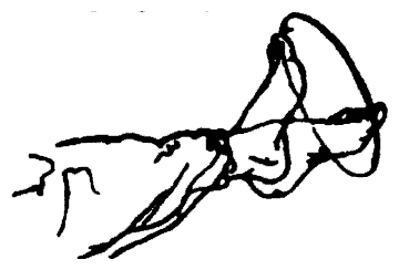 Да-цзе-шу — искусство пресечения боя - pic44.png