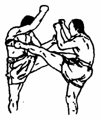 Да-цзе-шу — искусство пресечения боя - pic67.png