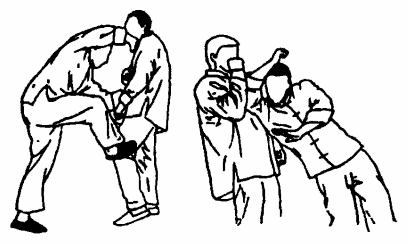 Да-цзе-шу — искусство пресечения боя - pic137.png