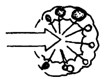 Да-цзе-шу — искусство пресечения боя - pic145.png