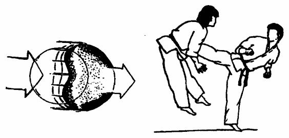 Да-цзе-шу — искусство пресечения боя - pic148.png