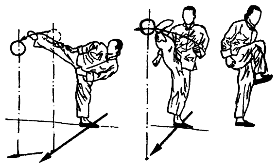 Да-цзе-шу — искусство пресечения боя - pic239.png