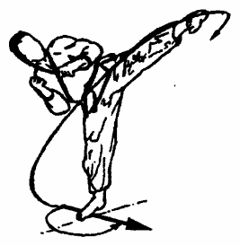 Да-цзе-шу — искусство пресечения боя - pic240.png