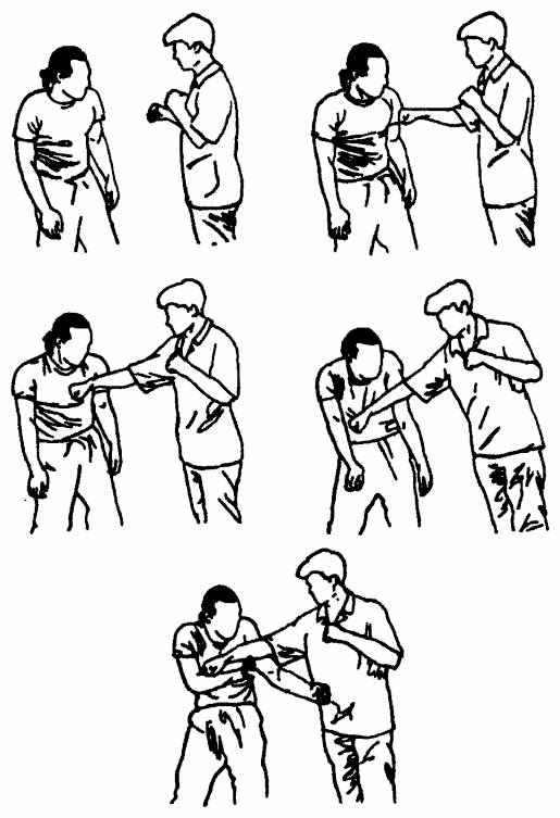 Да-цзе-шу — искусство пресечения боя - pic261.png