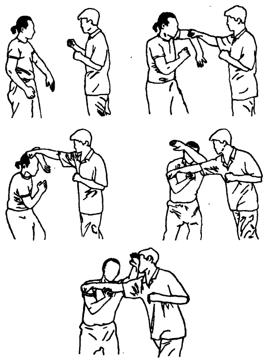 Да-цзе-шу — искусство пресечения боя - pic262.png