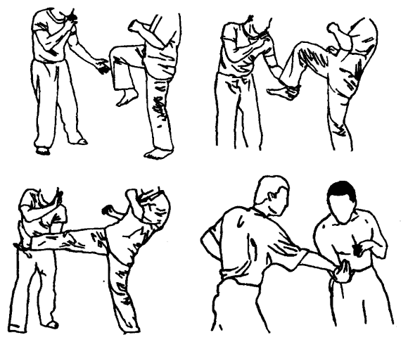 Да-цзе-шу — искусство пресечения боя - pic263.png